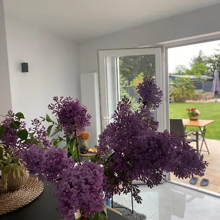 Neues Ferienappartment Pfalzherz