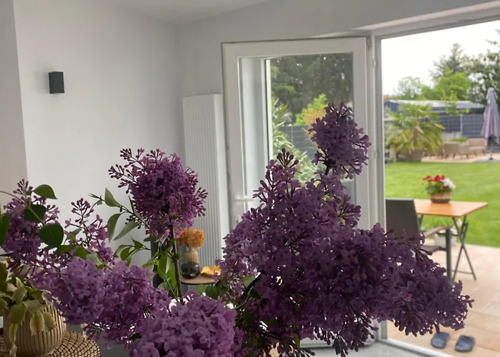 Neues Ferienappartment Pfalzherz